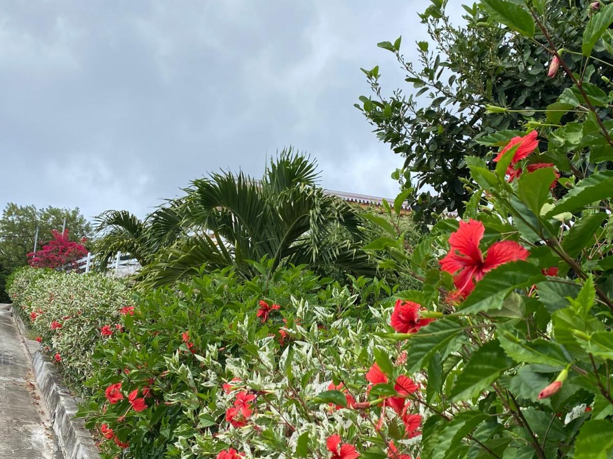 Apartamento Locations Morne Aux Vents Fond Boucher Exterior foto
